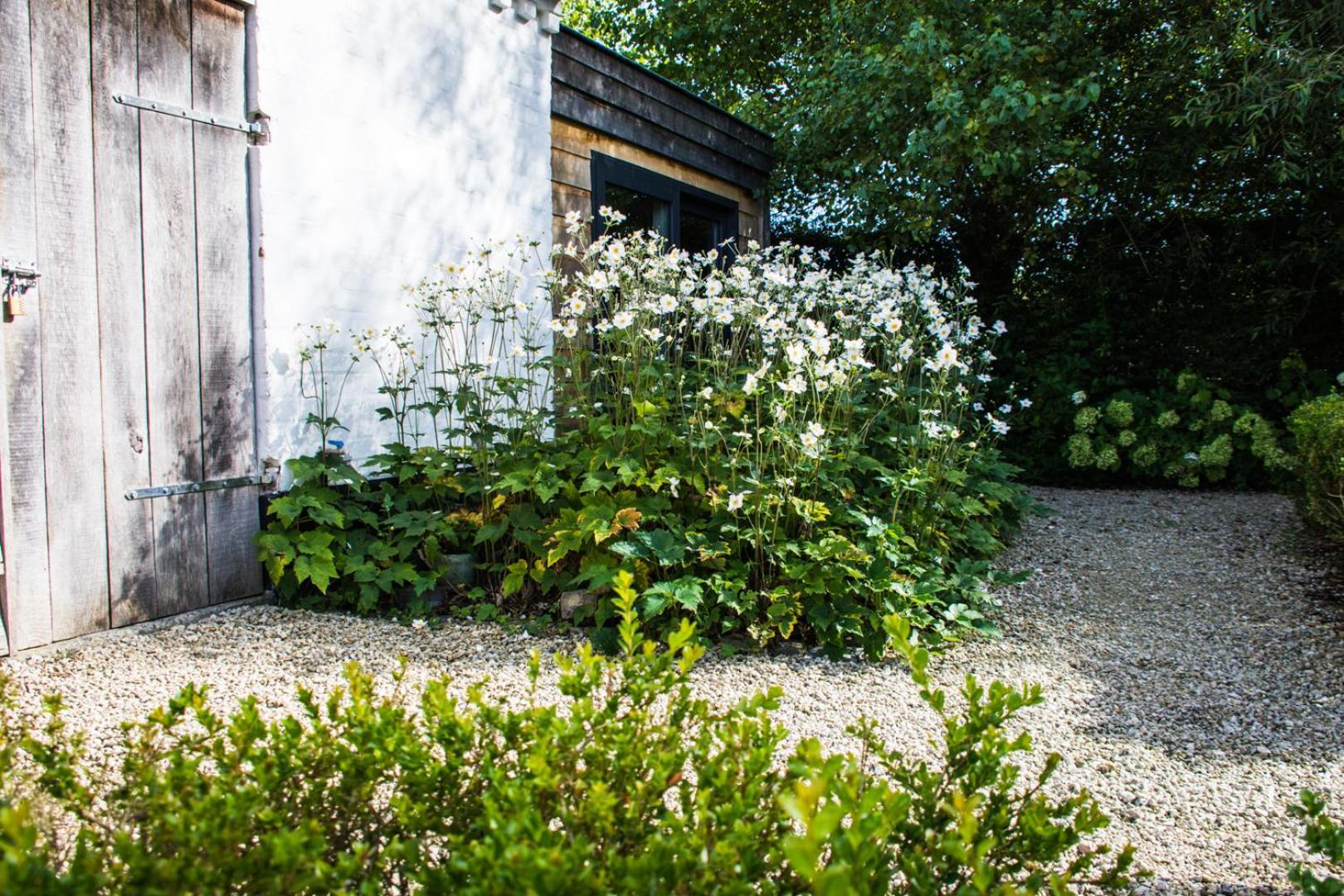 Stee 23 Bed & Breakfast Hertsberge ภายนอก รูปภาพ