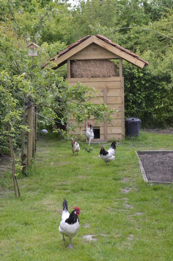 Stee 23 Bed & Breakfast Hertsberge ภายนอก รูปภาพ